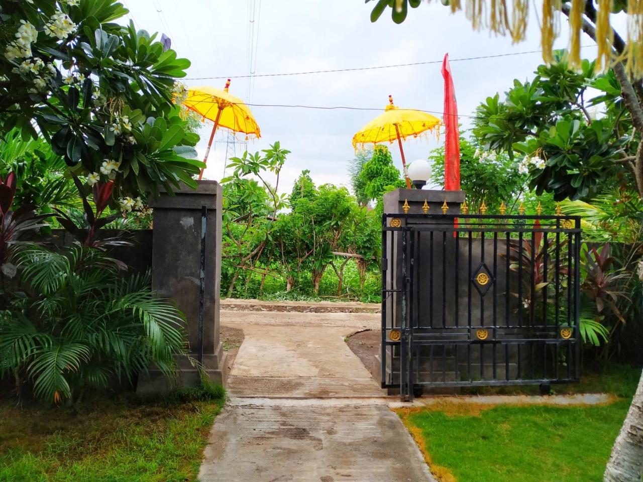 Angga Guest House Pemuteran Exterior foto